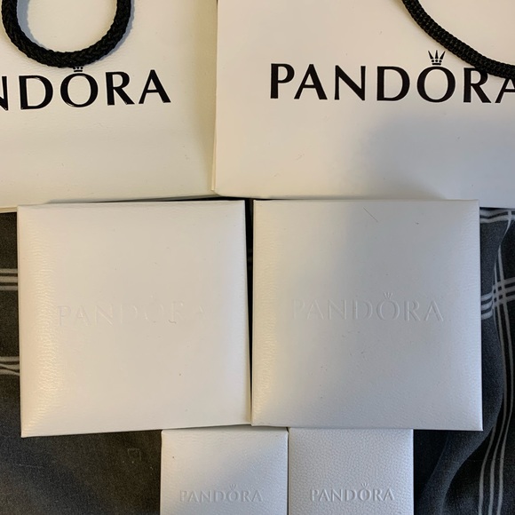 Pandora gift bags - Picture 2 of 2